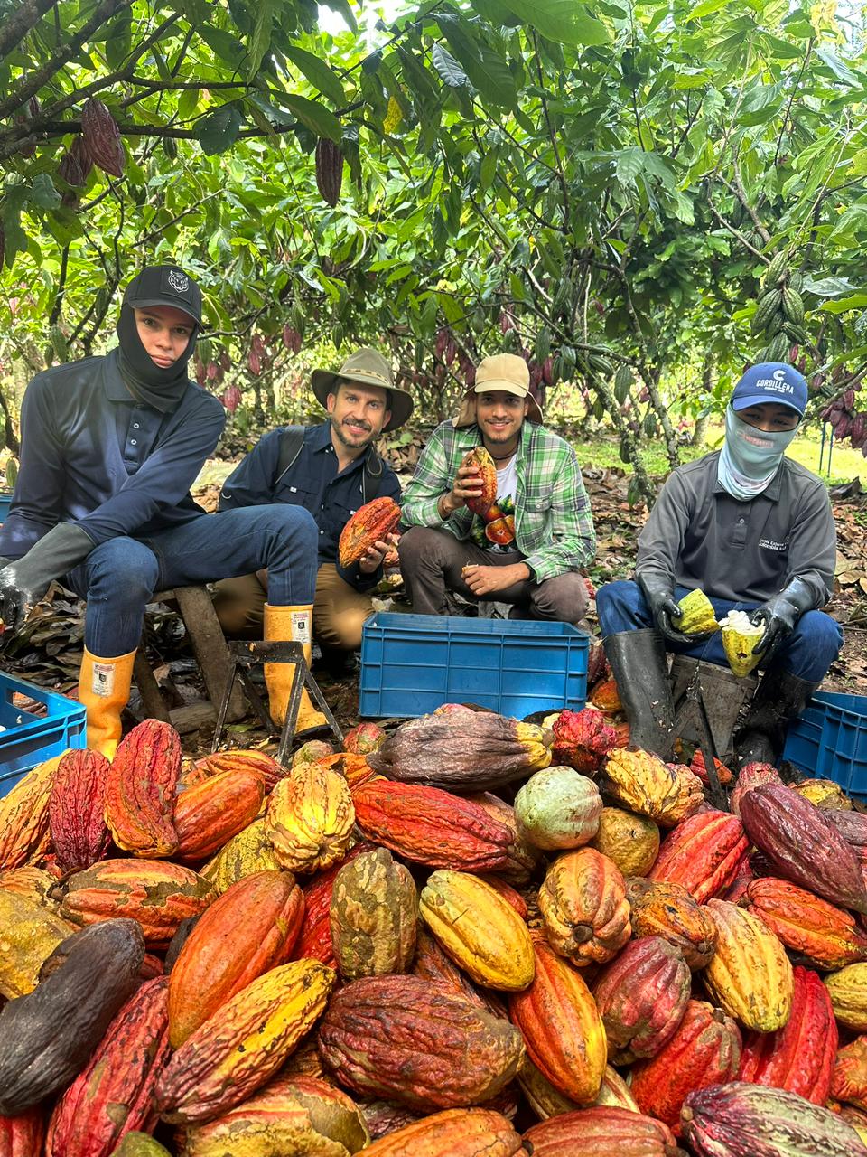 Acompañamiento técnico